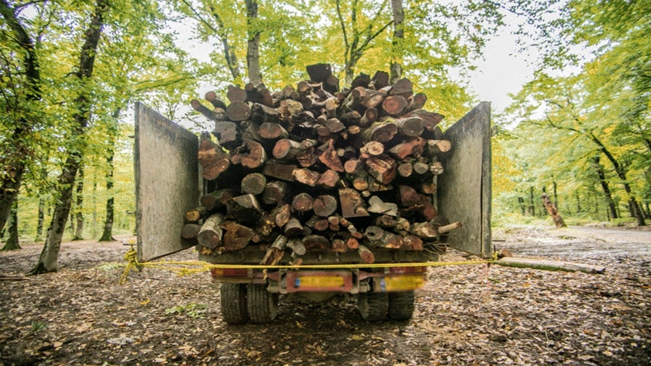 تعقیب و گریز باند قاچاق چوب توسط یگان حفاظت منابع طبیعی استان گلستان