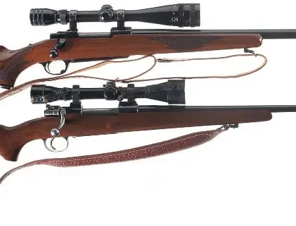 نظرسنجی مردمی درباره حمل سلاح شکاری