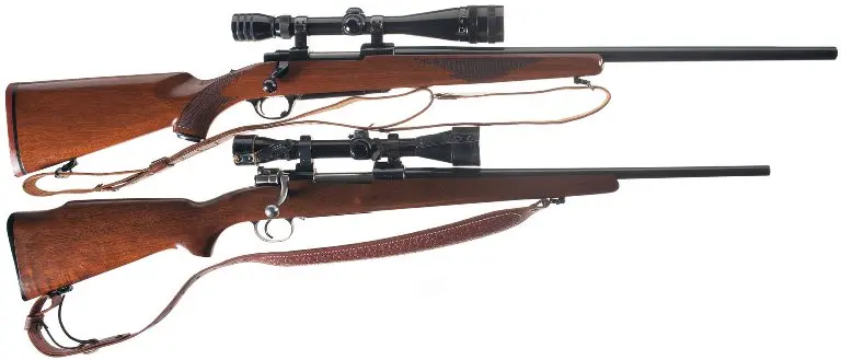 نظرسنجی مردمی درباره حمل سلاح شکاری